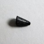 Jurassic Archosaur Tooth, The Natural Canvas