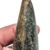 Giant Tyrannosaurus rex tooth, The Natural Canvas