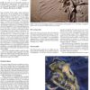 Book &#8211; ARCHAEOPTERYX &#8211; The Icon of Evolution, The Natural Canvas