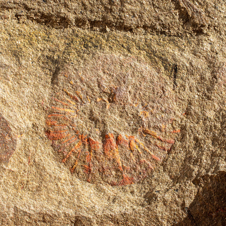 Ordovician Anomalocaridid oral cone (mouth), The Natural Canvas