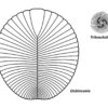 Rare Precambrian Association &#8211; Dickinsonia and Tribrachidium, The Natural Canvas