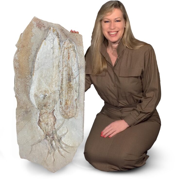 Enormous fossil squid &#8211; Leptotheuthis, The Natural Canvas