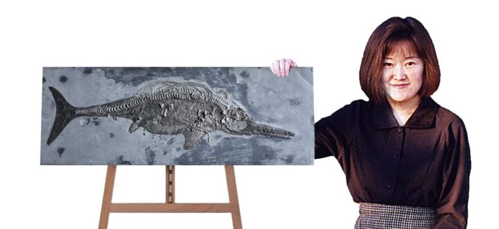 Jurassic ichthyosaur - Stenopterygius